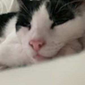 Meet your Posher, Scarlett